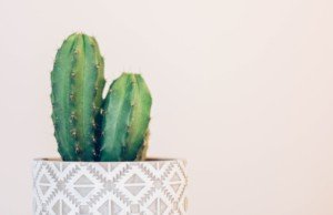 甘え下手な女子にお届けるする簡単＆効果抜群甘え方テクニック4選！